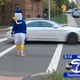 Illustration for article titled NJ Driver Fighting Traffic Ticket She Got From Donald Duck On Halloween
